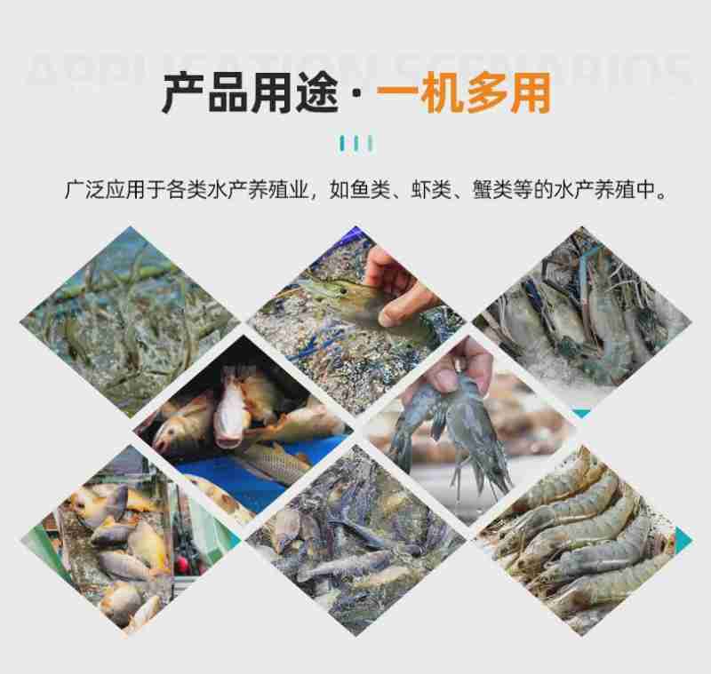 上海龙华机场,一架直升机停在停机坪上。上海徐汇 图